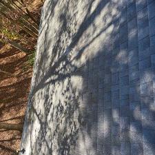 Roof Soft Wash in Canton, GA 9