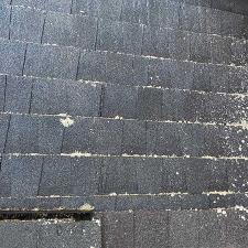 Roof Soft Wash in Canton, GA 11