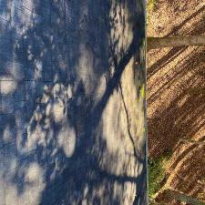 Roof Soft Wash in Canton, GA 8