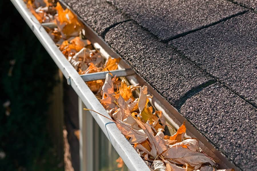 Gutter cleaning