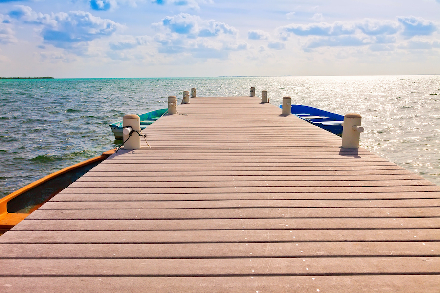 Dock cleaning